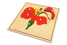 IFIT Montessori: Flower Puzzle