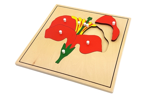 IFIT Montessori: Flower Puzzle