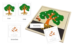 Parts of a Tree 3-Part Cards (PDF)