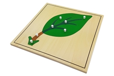 IFIT Montessori: Leaf Puzzle