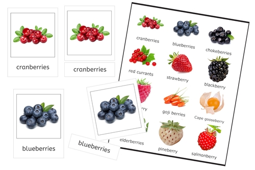 Berries 3-Part Cards (PDF)