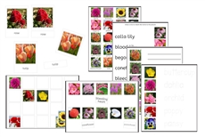 Flowers Exercise Set (PDF)