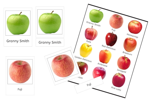 Apples 3-Part Cards (PDF)