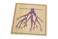 IFIT Montessori: Root Puzzle