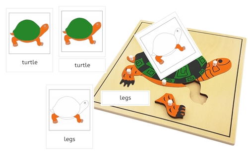 Parts of a Turtle 3-Part Cards (PDF)