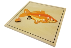 IFIT Montessori: Fish Puzzle with Skeleton (Clearance)