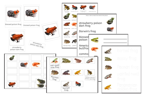 Frogs Exercise Set (PDF)