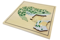 IFIT Montessori: Frog Puzzle with Skeleton (Clearance)