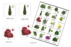Trees 3-Part Cards (PDF)
