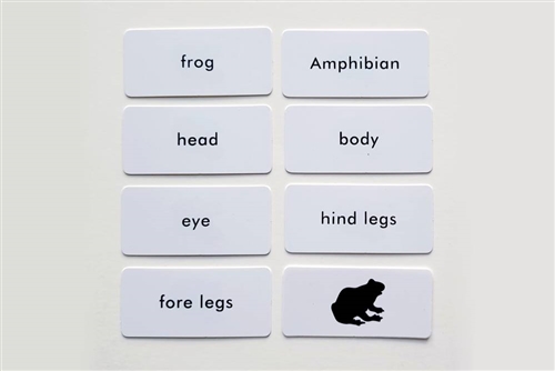 IFIT Montessori: Frog Label Cards for Animal Puzzle Activity Set