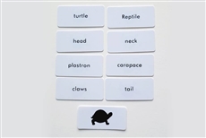 IFIT Montessori: Turtle Label Cards for Animal Puzzle Activity Set