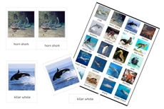 20 Marine Animals 3-Part Cards (PDF)