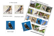 Birds of North America (PDF)