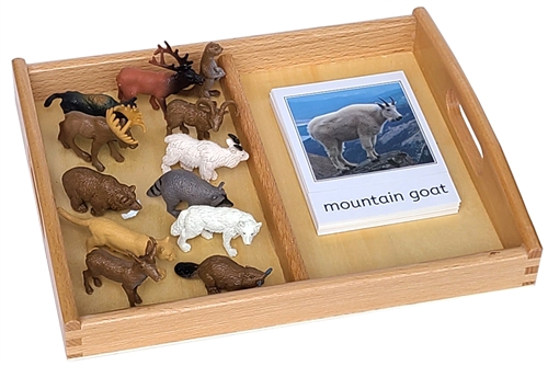 12 Animals of North America Models with 2-Compartment Tray and Cards