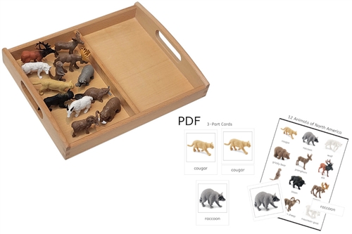 12 Animals of North America Models with 2-Compartment Tray and PDF Cards