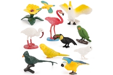 10 Bird Models