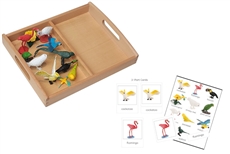 10 Bird Models with 2-Compartment Tray and PDF Cards