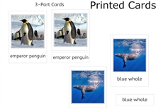 Antarctic Set 3-Part Cards