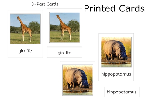 12 Wild Animals 3-Part Cards