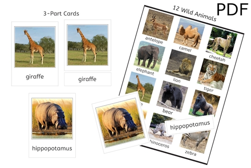 12 Wild Animals 3-Part Cards (PDF)