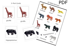 12 Wild Animals 3-Part Cards (PDF)