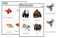 Vertebrates of Asia (PDF)