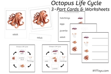 Octopus Life Cycle 3-Part Cards & Worksheets (PDF)