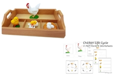Life Cycle of a Chicken with Sorting Tray