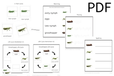 Grasshopper Life Cycle 3-Part Cards & Worksheets (PDF)
