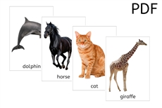 Mammals Flashcards - Large (PDF)