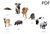 Mammals Flashcards - Small (PDF)