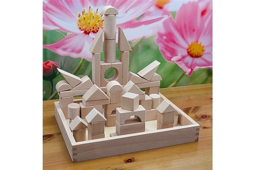 52 Wood Building Blocks with Tray (Clearance)