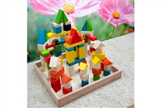 74 Colored Wood Building Blocks with Tray