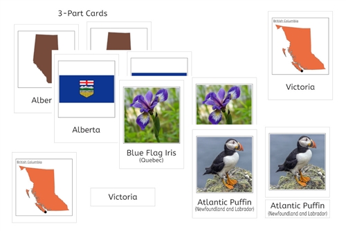 Canada 3-Part Cards Bundle
