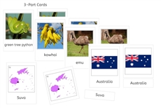 Oceania 3-Part Cards Bundle (PDF)