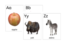 Large Alphabet Flashcards (PDF)