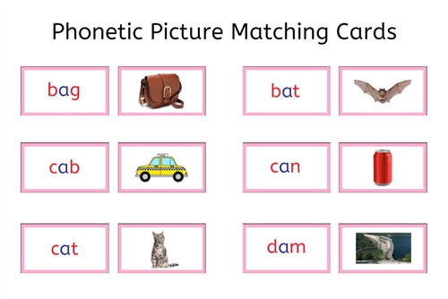 Pink Picture Matching Cards (PDF)