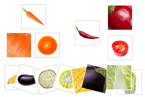 Vegetable Matching Cards (PDF)