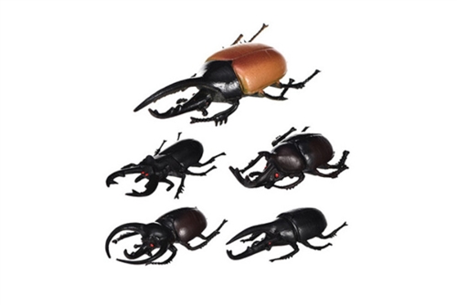 5 Beetle Miniatures Set
