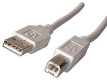 USB Cable - 6 Feet