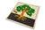 IFIT Montessori: Tree Puzzle