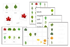 Leaves Exercise Set (PDF)