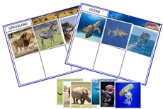 Animal Habitat Sorting Cards (PDF)