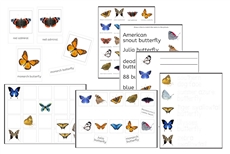 Butterflies Exercise Set (PDF)