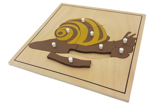 IFIT Montessori: Snail Puzzle