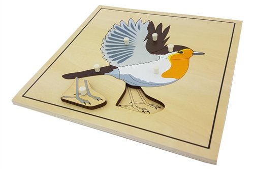 IFIT Montessori: Bird Puzzle with Skeleton