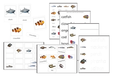 Fishes Exercise Set (PDF)
