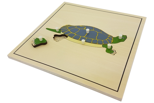 IFIT Montessori: Turtle Puzzle with Skeleton