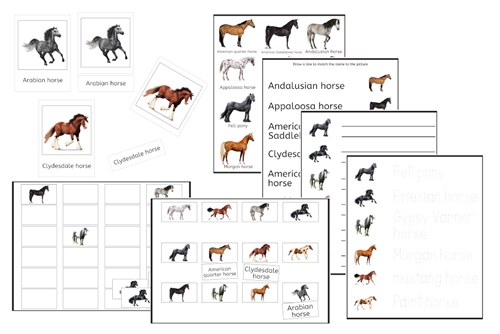 Horses Exercise Set (PDF)