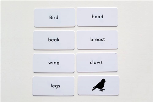 IFIT Montessori: Bird Label Cards for Animal Puzzle Activity Set